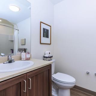 A modern bathroom with a sink, toilet, and shower area.