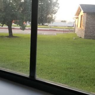 A serene view from a window, showcasing a green lawn and a nearby house.