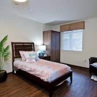 A minimalist bedroom with a single bed, wooden flooring, and a potted plant by the window.