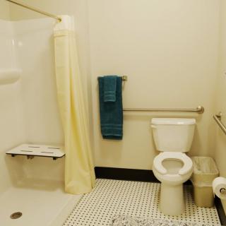 An accessible bathroom featuring a shower with grab bars, a toilet, and a towel on the wall.