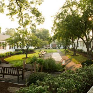 A serene park area surrounded by lush greenery, featuring benches and a tranquil pathway.