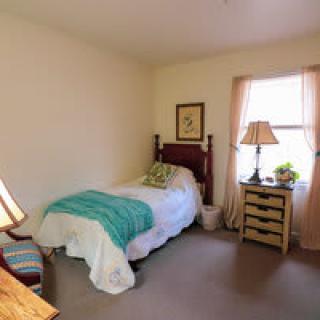 A cozy bedroom featuring a single bed, bedside lamp, and natural light coming through the window.