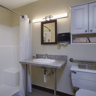 A clean and organized bathroom with a sink, mirror, shower, and toilet.
