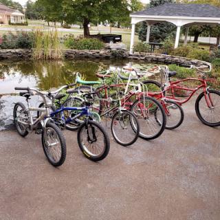 A lineup of colorful bicycles parked near a serene pond in the park.