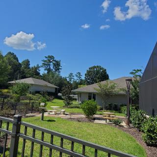 A serene view of a well-kept garden in a residential area under a clear blue sky.