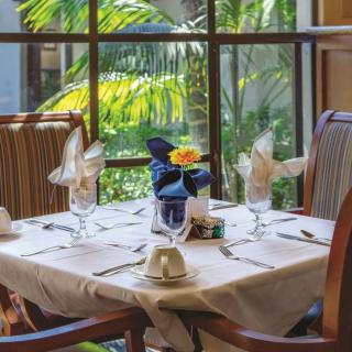 A beautifully set dining table in a restaurant with a view of lush greenery outside the window.