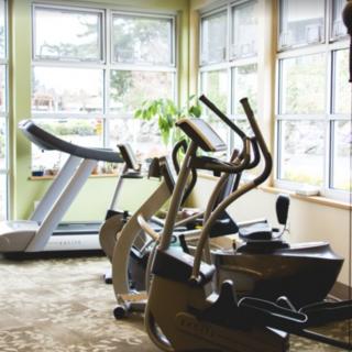 A bright gym room featuring a treadmill and elliptical machines.