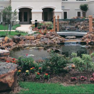 A landscaped garden featuring a pond with rocks and plants, adjacent to a building with a small bridge leading across the water.