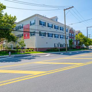A sunny urban street with a large building and crosswalk.