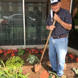 An elderly man gardening beside a flowerbed with a shovel in hand.