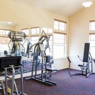 A well-equipped gym with various exercise machines and natural lighting.