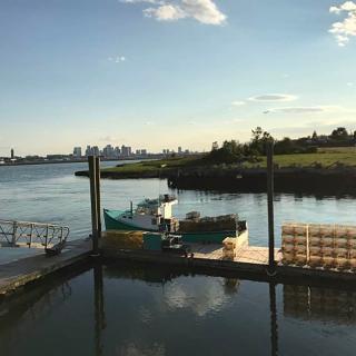 A peaceful harbor scene with a boat moored at the dock and a distant city skyline under a clear blue sky.