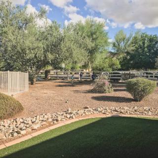 A tranquil backyard scene featuring lush trees and a fenced area under a partly cloudy sky.
