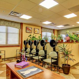 A cozy salon waiting area featuring hair dryers and decorative plants.