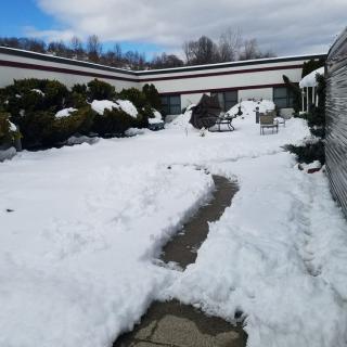 A snowy courtyard with a pathway leading through bushes and buildings.