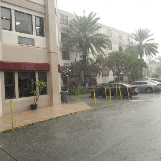 A heavy downpour hits an urban area, with palm trees lining the street and a car parked nearby.