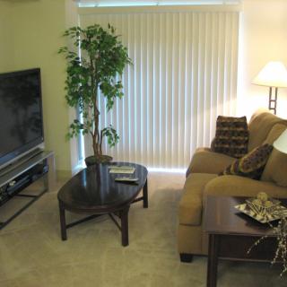 Cozy living room with a sofa, TV, and coffee table.