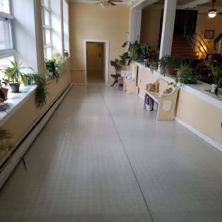 A well-lit hallway with large windows and various potted plants along the walls.