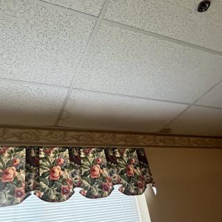 A view of a ceiling with tile panels and a window adorned with a floral valance.