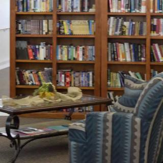 A cozy reading area with bookshelves filled with a variety of books.