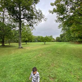 A child exploring a lush green field surrounded by trees on a cloudy day.