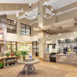 A modern cafe interior with stylish lighting, wooden furniture, and decorative plants.