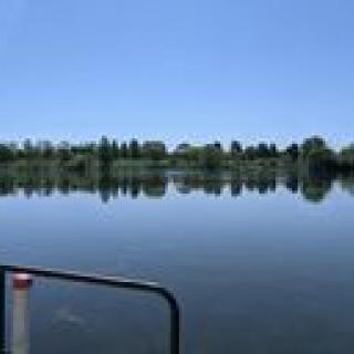 A serene view of a lake with trees reflecting on the calm water under a clear blue sky.