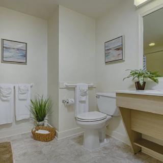 A well-organized bathroom featuring a toilet, sink with a mirror, and decorative elements like framed artwork and a potted plant.