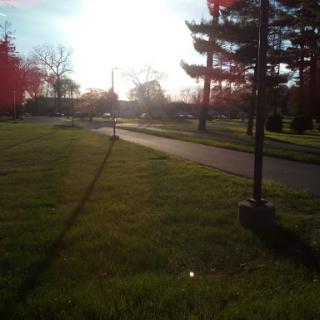 A serene park scene with sunlight casting long shadows across the grassy pathway.