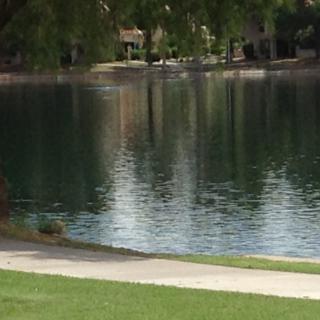 A serene lakeside scene with a grassy pathway and surrounding trees.