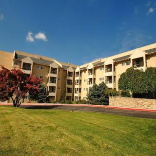 A sunny day view of a residential apartment building with well-maintained landscaping.