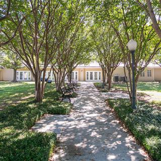 A tree-lined pathway leading to a building in a garden setting.