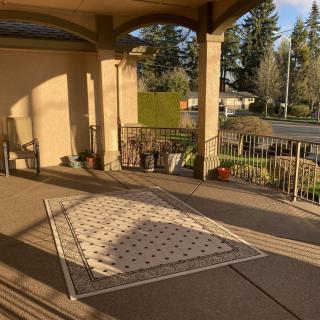 A sunlit porch with a patterned rug and outdoor furniture, surrounded by trees and railing.