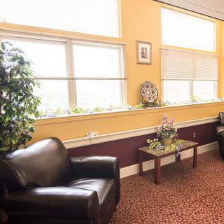 A cozy waiting room with leather chairs, indoor plants, and large windows providing natural light.