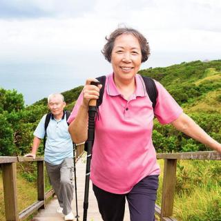 An elderly couple enjoys a hike through scenic nature trails.