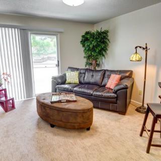 Cozy living room with a sofa, coffee table, and indoor plant.