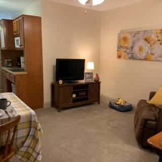 A cozy living room with a television, sofa, dining table, and kitchen area.