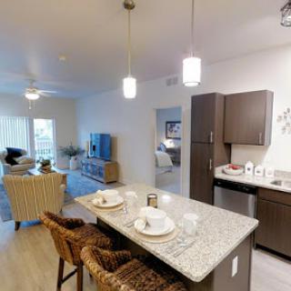 A stylish and modern apartment featuring an open floor plan that combines the living and kitchen areas.