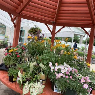 A vibrant display of various potted flowers under a charming gazebo.