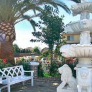 Assurety Senior Care