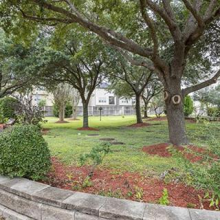 A well-maintained garden with lush greenery and mature trees.