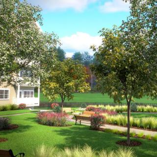 A beautiful garden landscape with trees and pathways on a sunny day.
