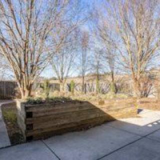 A backyard with a garden area and trees under a clear blue sky.