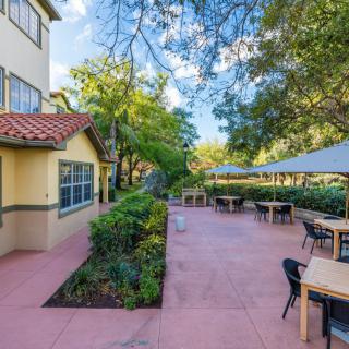 Outdoor patio area with tables and chairs shaded by trees.