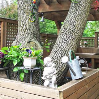 A charming garden setup featuring a tree surrounded by plants and decorative items, including a sculpture and a watering can.