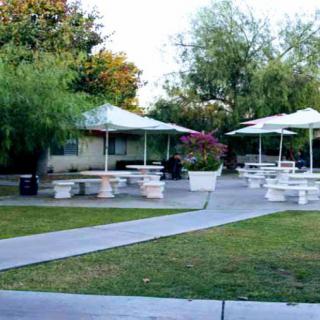 A serene outdoor patio area with tables, chairs, and large umbrellas, surrounded by lush greenery.