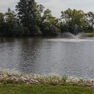 A serene lake with a fountain surrounded by trees.