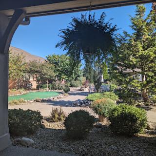 A serene view of a garden with lush greenery and a clear blue sky.