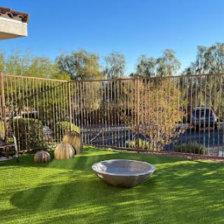 A serene outdoor space featuring artificial grass, a decorative bowl, and a backdrop of natural foliage.