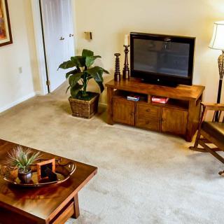 A cozy living room with a television, coffee table, and indoor plant.